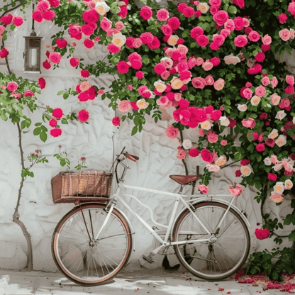 Elegant Climbing Rose Flower Seeds